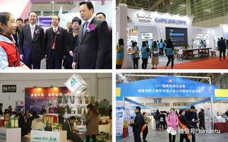 合作共贏 福旅會展與31會議強強聯合，數字會務賦能活動管理與企業形象策劃