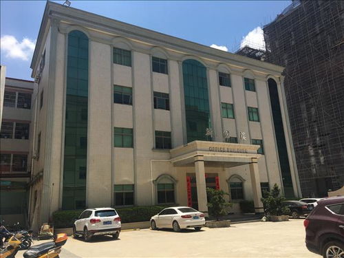 岳陽市房屋改造安全檢測鑒定報(bào)告辦理勞務(wù)服務(wù)指南